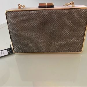 BCBG Maxzaria Clutch